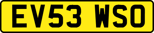 EV53WSO