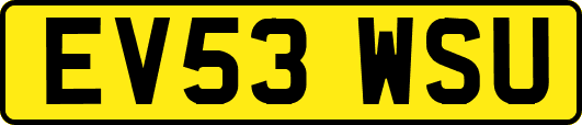 EV53WSU