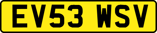 EV53WSV