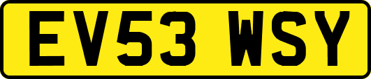 EV53WSY