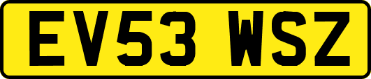 EV53WSZ