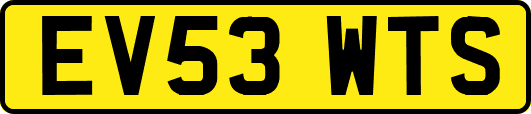 EV53WTS