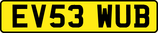 EV53WUB