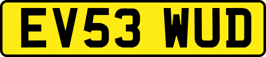 EV53WUD