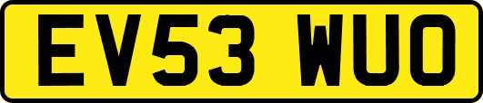EV53WUO