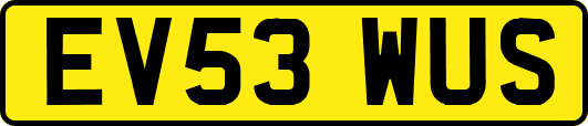 EV53WUS