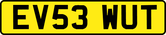 EV53WUT