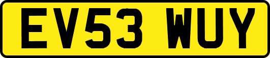 EV53WUY
