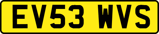 EV53WVS