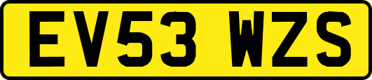 EV53WZS