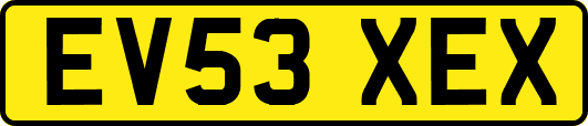 EV53XEX