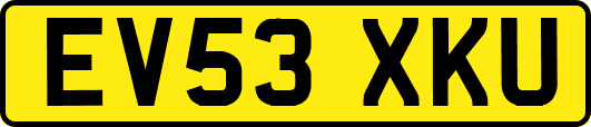 EV53XKU