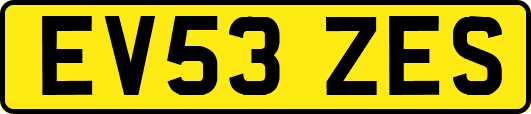EV53ZES
