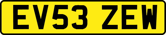 EV53ZEW