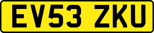 EV53ZKU