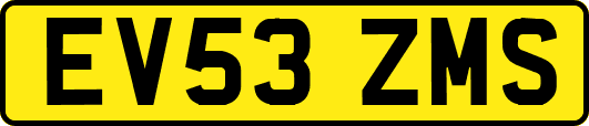 EV53ZMS