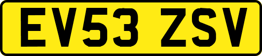 EV53ZSV