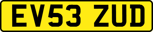 EV53ZUD