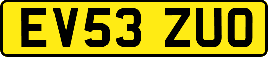 EV53ZUO
