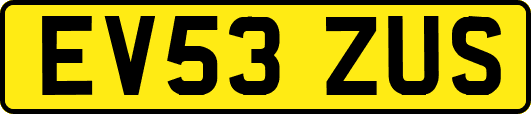 EV53ZUS