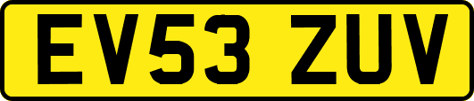 EV53ZUV