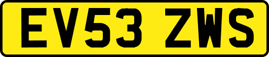 EV53ZWS