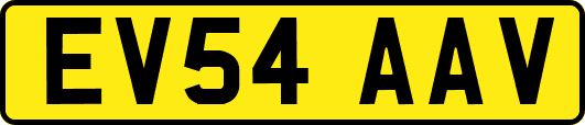 EV54AAV