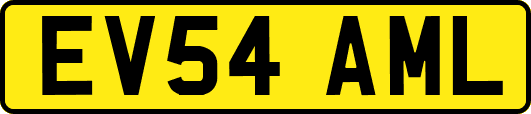 EV54AML