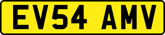 EV54AMV