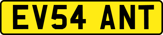 EV54ANT