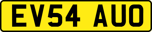 EV54AUO
