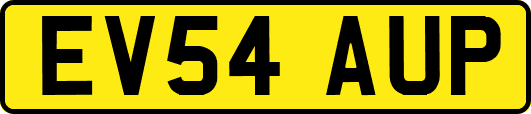 EV54AUP