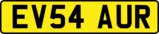 EV54AUR