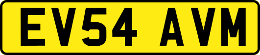 EV54AVM