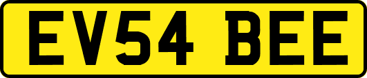 EV54BEE