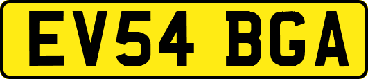EV54BGA