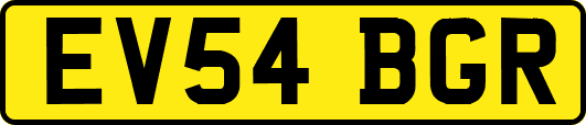 EV54BGR