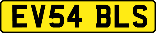 EV54BLS
