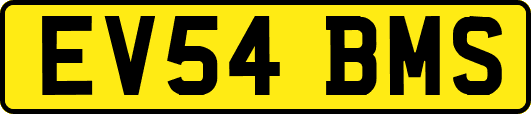 EV54BMS