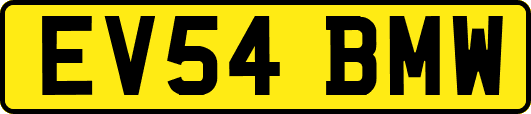 EV54BMW