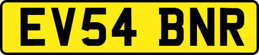 EV54BNR