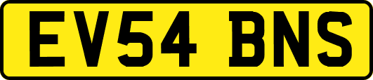 EV54BNS