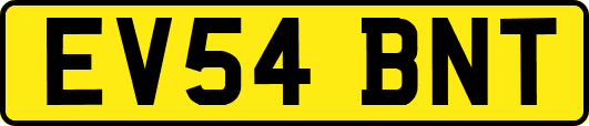 EV54BNT
