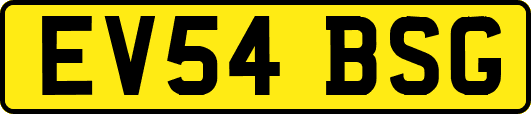 EV54BSG