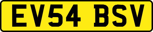 EV54BSV