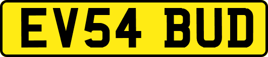 EV54BUD