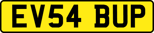 EV54BUP