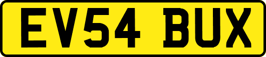 EV54BUX