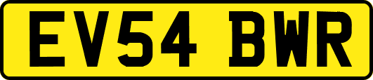 EV54BWR