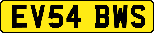 EV54BWS